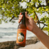 CERVEZA MELENA DE LEÓN