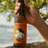 CERVEZA MELENA DE LEÓN