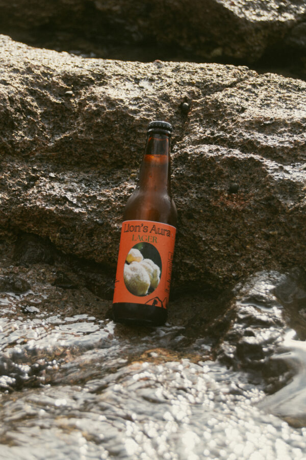 cerveza 3 CERVEZA MELENA DE LEÓN