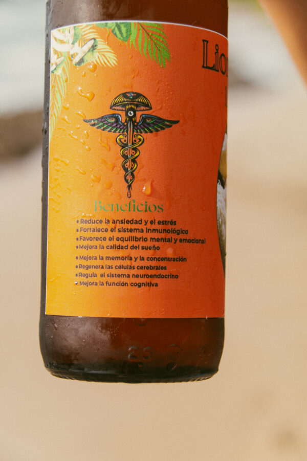 cerveza 8 CERVEZA MELENA DE LEÓN