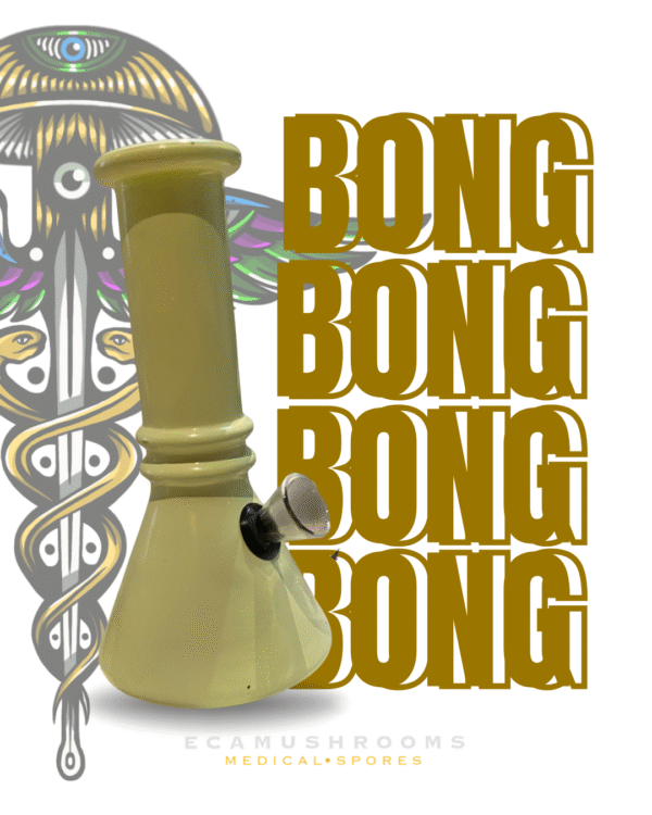 Bong de Vidrio Estilo Clásico