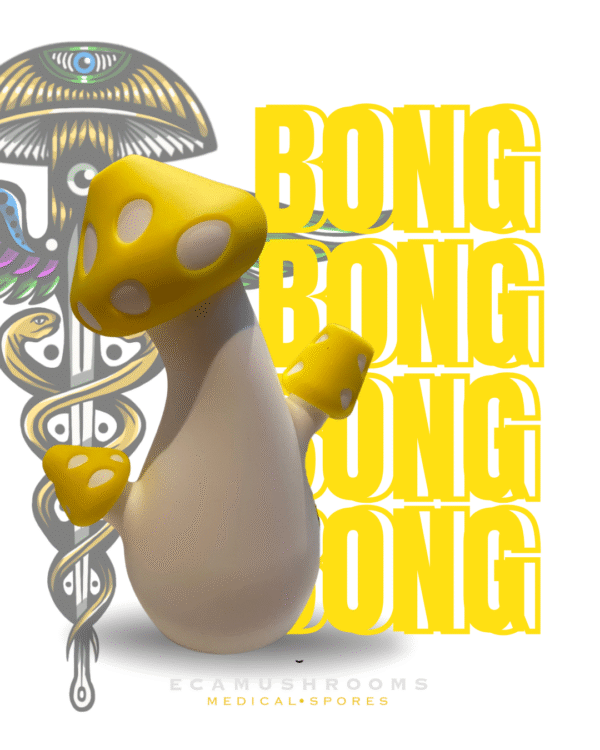 1 Bong Diseño Hongo