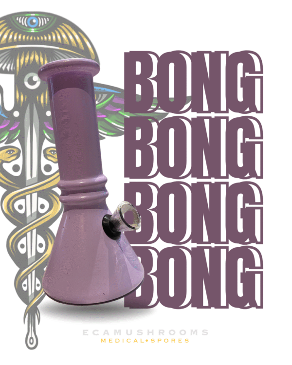 Bong de Vidrio Estilo Clásico