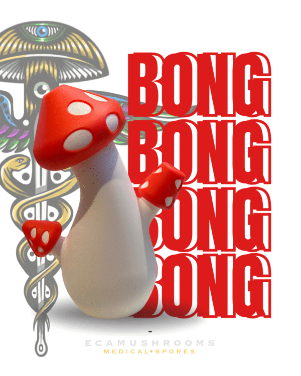 2 Bong Diseño Hongo