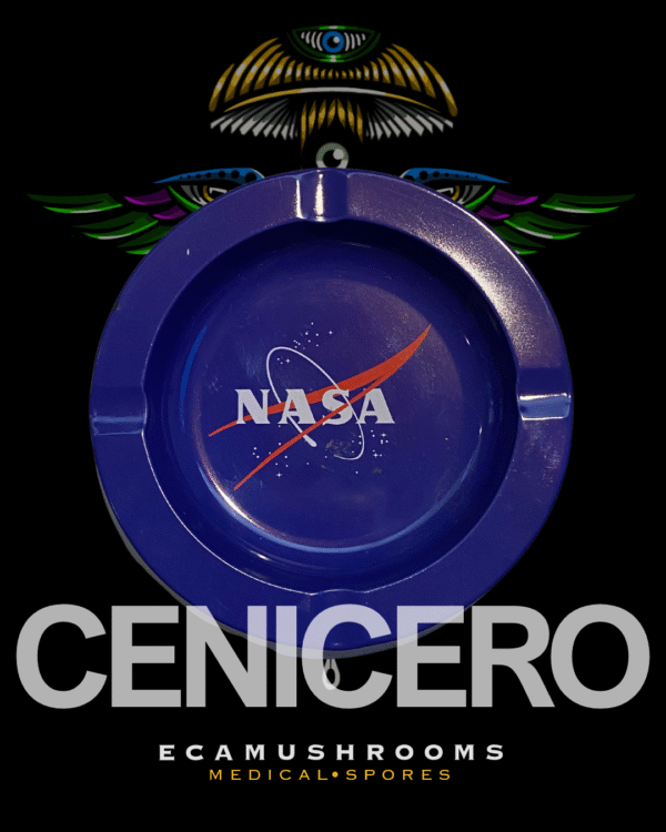 2 Cenicero Retro