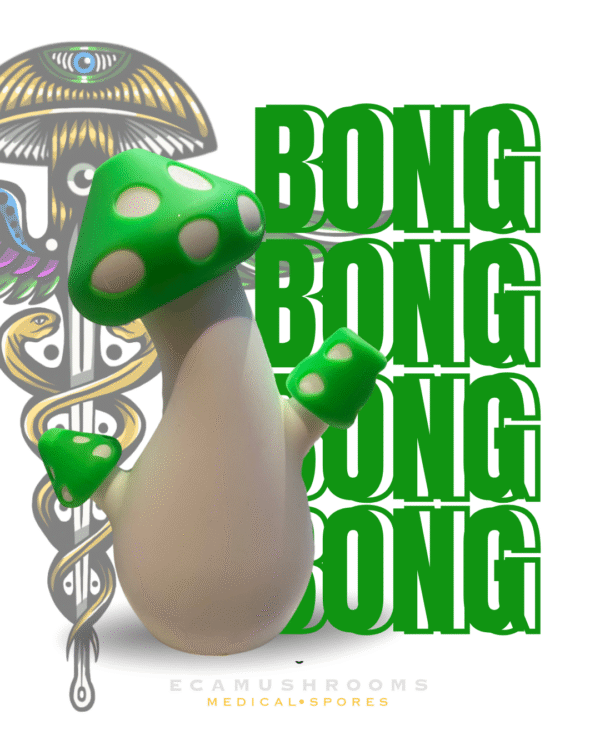 3 Bong Diseño Hongo