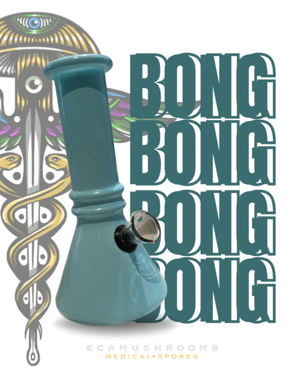 Bong de Vidrio Estilo Clásico