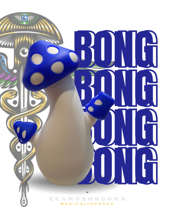 4 Bong Diseño Hongo