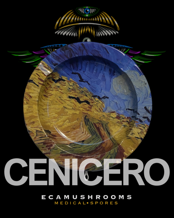 4 Cenicero Retro