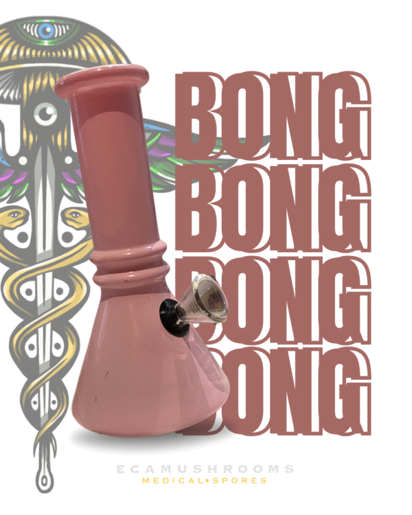 Bong de Vidrio Estilo Clásico