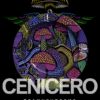 5 Cenicero Retro