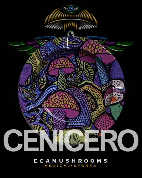 5 Cenicero Retro