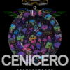 6 Cenicero Retro