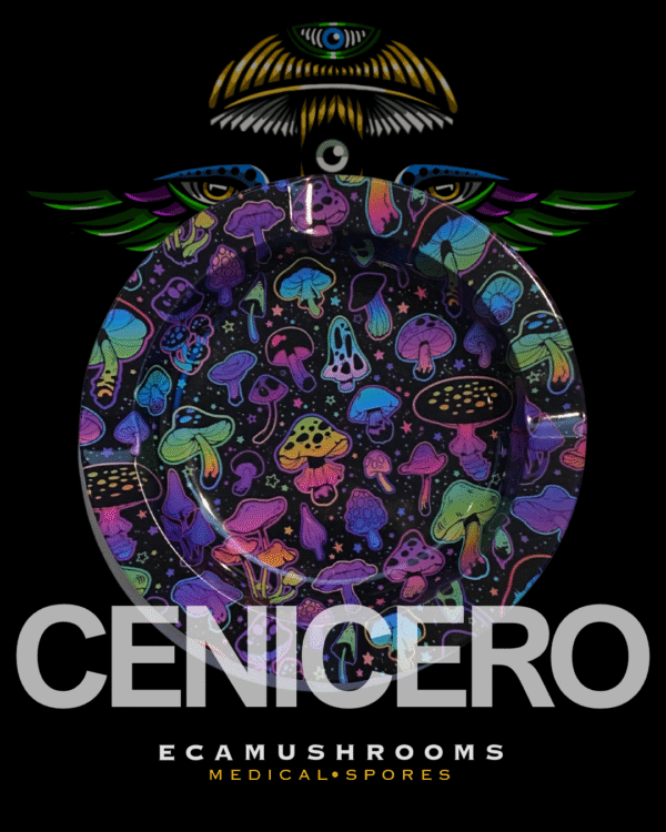 6 Cenicero Retro