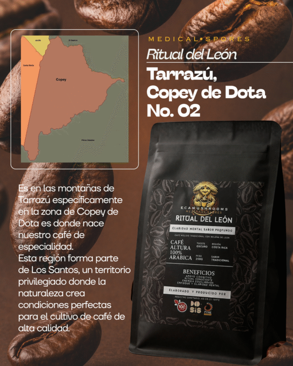 CAFE RITUAL DEL LEON